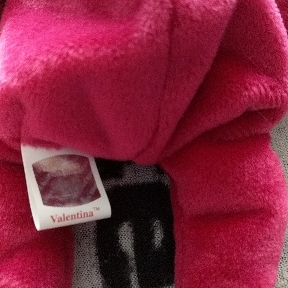 Valentina bear - Picture 2 of 4